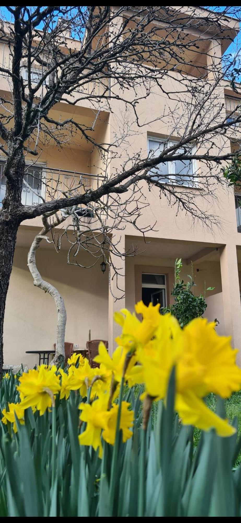 Apartmán Casa M Tivat Exteriér fotografie