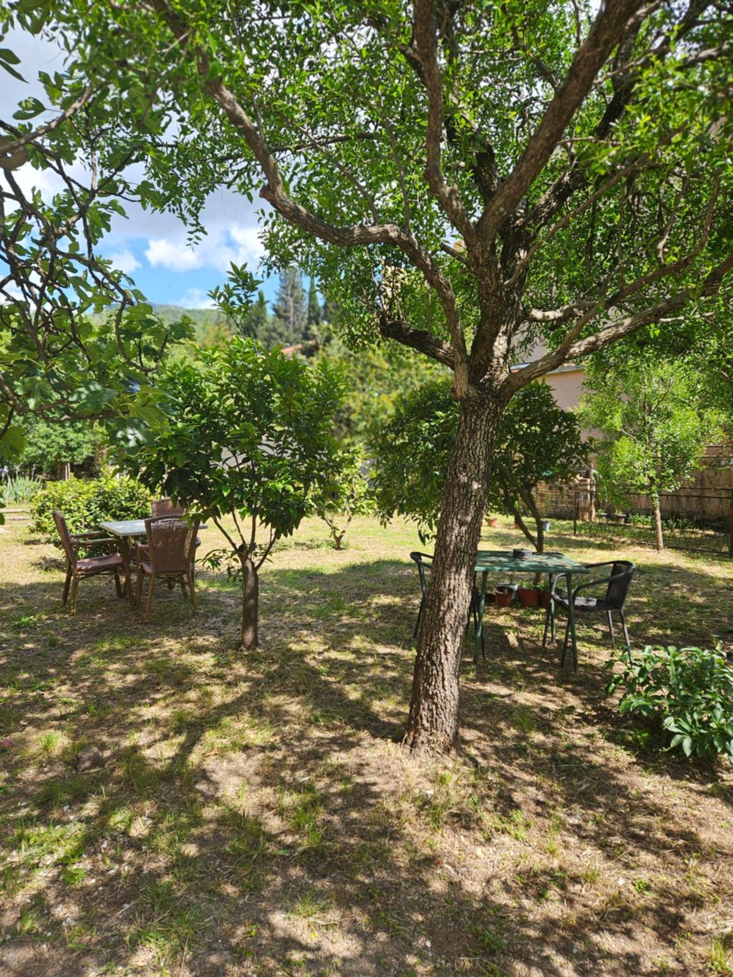 Apartmán Casa M Tivat Pokoj fotografie